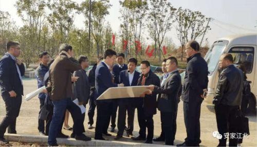 南师附中爆料事件最新,揭秘校园风波背后的真相与反思